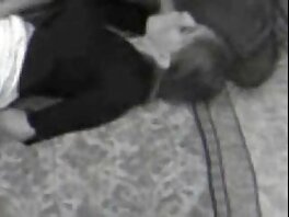 Knulla hennes hängiga däggdjur robin hood sexfilm